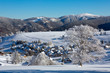Winter, Schnee, Frost, Baum,  Berg, Dorf