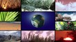 tao and our planet