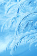 Winter Dream. Grass covered with snow.