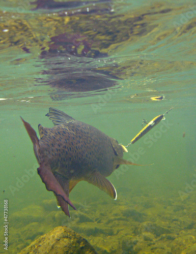 Photo: Fishing Fishing