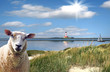 Westerhever, Nordfriesland