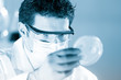 Scientist observing petri dish.