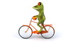 Fun Frog