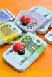 Banconote con coccinelle
