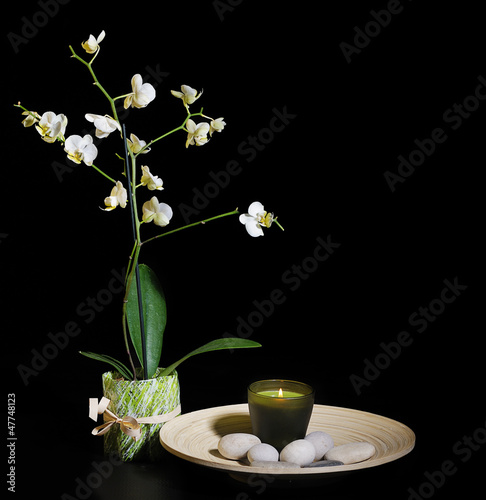 Photo: spa still life with orchid spa still life with orchid