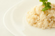 creamy risotto on a white plate with a green sprig of cilantro