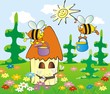hive