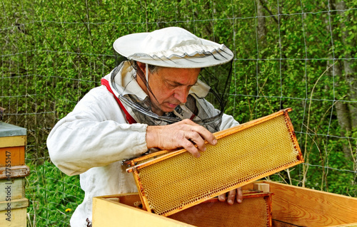 Photo: Working apiarist. Working apiarist.