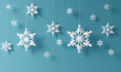 Photo: snowflakes snowflakes