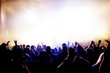 cheering crowd at concert