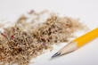 Yellow pencil and shavings