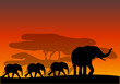 Afrika
