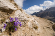 Sellagruppe - Dolomiten - Alpen