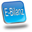 E-Bilanz Button