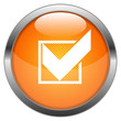 Vector Button Checkmark