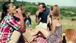 Video: Group of happy friends on a picnic Group of happy friends on a picnic