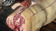 Pig slaughtered in a traditional way, in a small farm ...