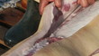 Pig slaughtered in a traditional way, in a small farm ...