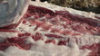 Pig slaughtered in a traditional way, in a small farm ...