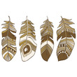 seamless ethnic Indian feathers plumage  pattern