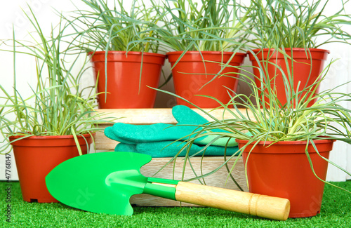 Photo: pots with seedling on green grass on wooden background pots with seedling on green grass on wooden background