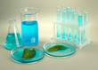 test-tubes and leaves tested in petri dishes on grey background