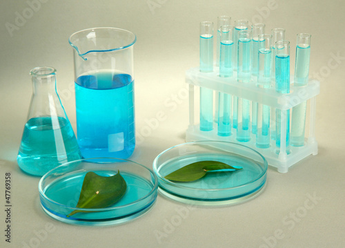 Photo: test-tubes and leaves tested in petri dishes on grey background test-tubes and leaves tested in petri dishes on grey background