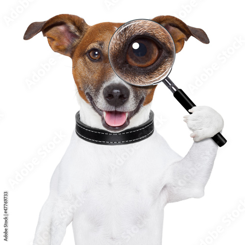 Photo: dog with magnifying glass dog with magnifying glass