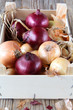 Photo: Onions Onions