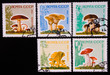 Postage stamp