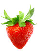 Single fresh strawberries. Isolated