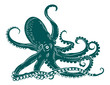 Vector: Octopus with tentacles Octopus with tentacles