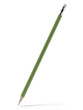 Green pencil with eraser.