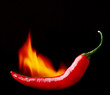 burning red chili pepper