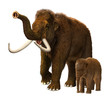 Baby mammoth with mother