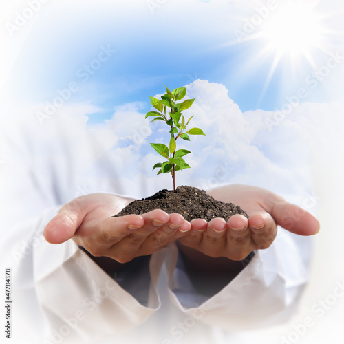 Photo: hands and plant hands and plant