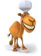 Fun camel