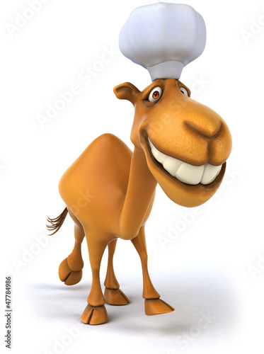 Illustration: Fun camel Fun camel
