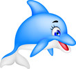 funny dolphin cartoon