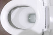 Interior of a typical water-closet.