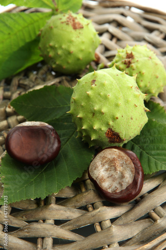 Photo: Chestnuts with leaves on wicker background Chestnuts with leaves on wicker background