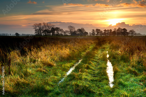Photo: sunrise over rural road sunrise over rural road