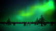 Video: Polar lights in forest loop Polar lights in forest loop