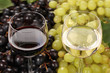 Weisswein und Rotwein