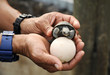 Baby - Riesenschildkröte