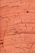 The texture of red brick, close-up