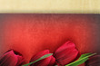 Photo: Beautiful tulip flowers on vintage background Beautiful tulip flowers on vintage background