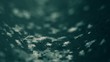 Snow Flakes 009