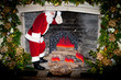 santa up the chimney