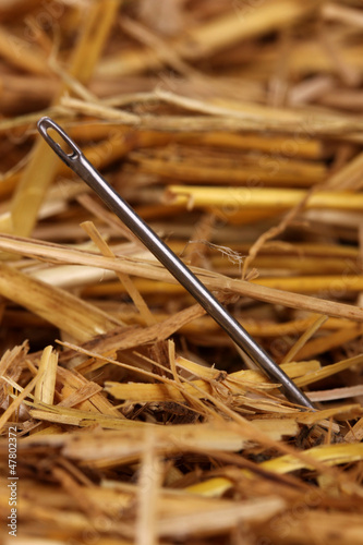 Photo: Needle in a haystack close-up Needle in a haystack close-up